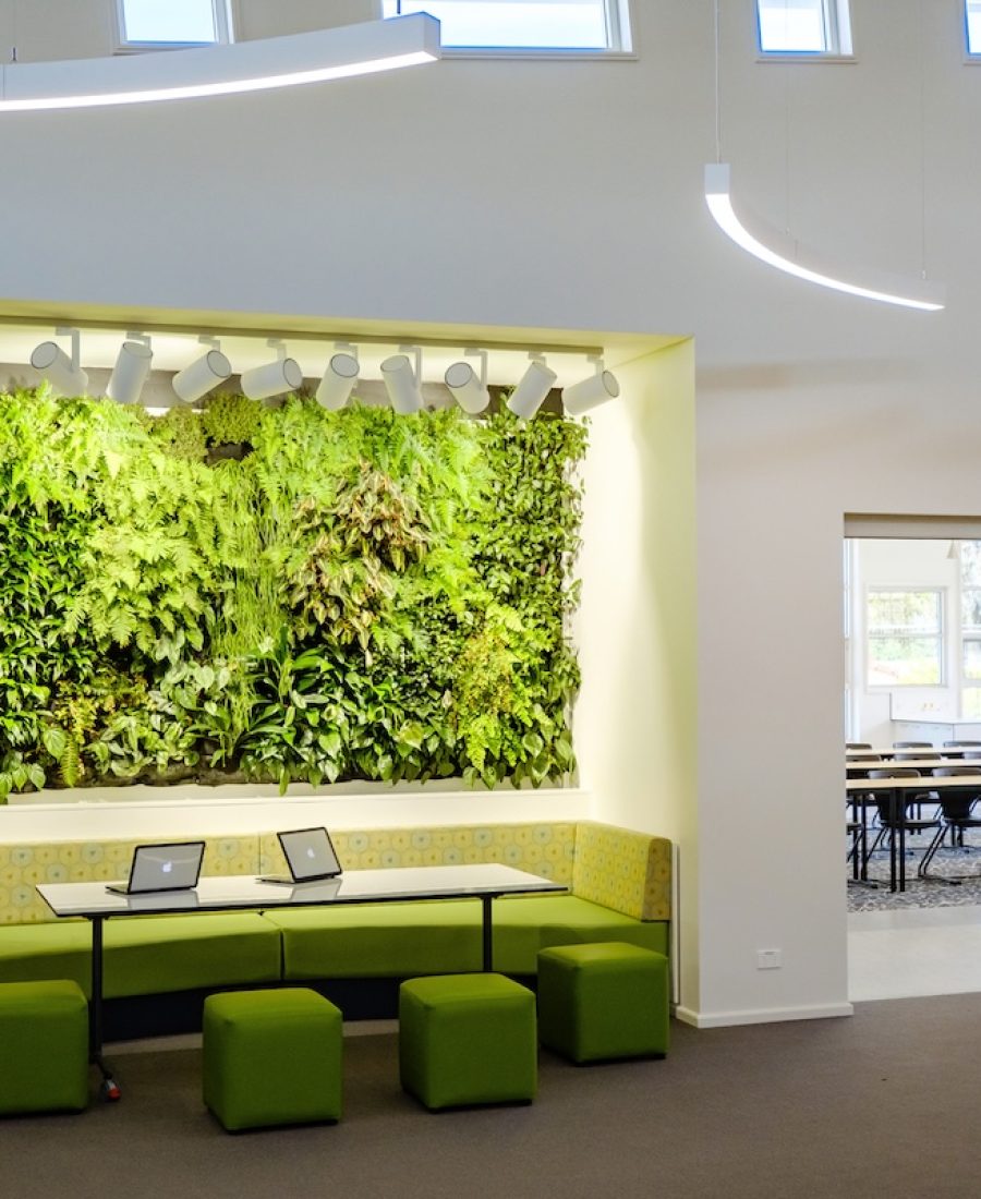 Catholic College Wodonga-7607